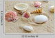 Beach Shells Wall Decal