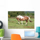 Fantasies Meadow Wall Decal