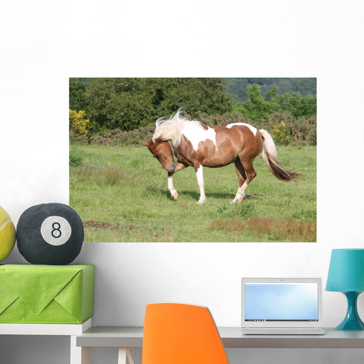Fantasies Meadow Wall Decal