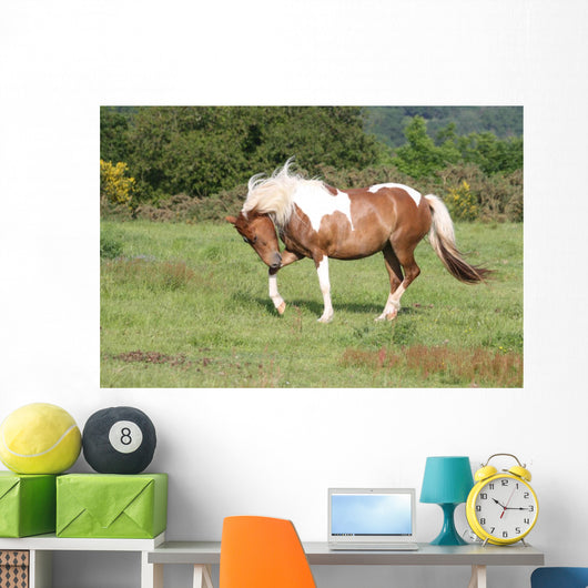 Fantasies Meadow Wall Decal