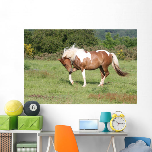Fantasies Meadow Wall Decal