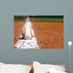 Baseball Infield Chalk Line Wall Decal