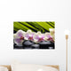 Set Branch Orchid Wall Decal