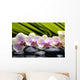 Set Branch Orchid Wall Decal