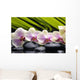 Set Branch Orchid Wall Decal