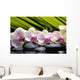 Set Branch Orchid Wall Decal