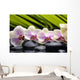 Set Branch Orchid Wall Decal