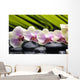 Set Branch Orchid Wall Decal