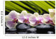 Set Branch Orchid Wall Decal