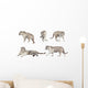 White Tiger Wall Stickers Wall Decal
