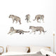 White Tiger Wall Stickers Wall Decal
