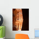 Treasury Al-khazneh from Siq Wall Decal