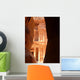 Treasury Al-khazneh from Siq Wall Decal