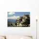 Meteor Wall Decal