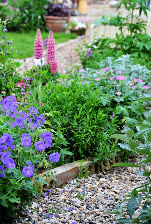 Garden Border Wall Decal