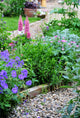 Garden Border Wall Decal