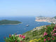 Adriatic Sea Wall Decal