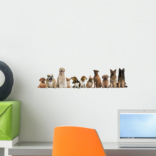 Group Dogs Sitting against Wall Decal