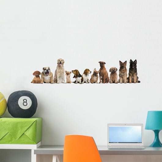 Group Dogs Sitting against Wall Decal