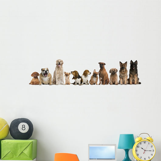 Group Dogs Sitting against Wall Decal