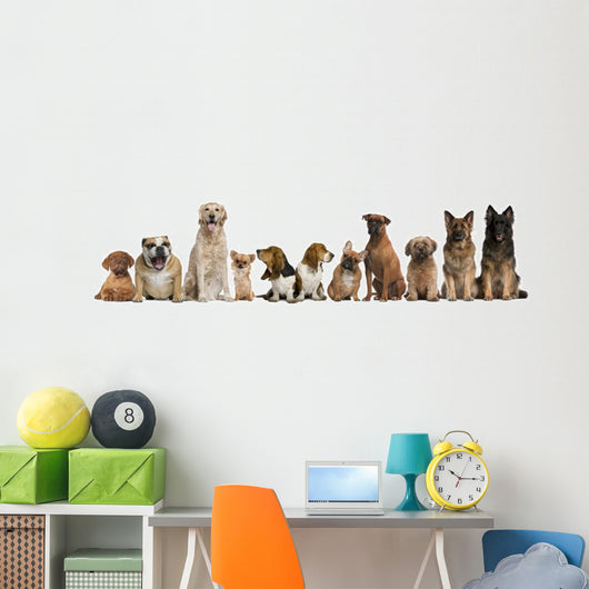 Group Dogs Sitting against Wall Decal