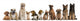 Group Dogs Sitting against Wall Decal