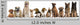 Group Dogs Sitting against Wall Decal