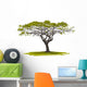Acacia Tree Wall Decal