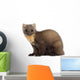 European Pine Marten or Wall Decal