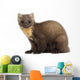 European Pine Marten or Wall Decal