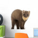 European Pine Marten Wall Decal