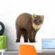 European Pine Marten Wall Decal