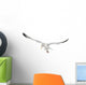 European Herring Gull Looking Down Wall Decal