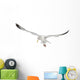 European Herring Gull Looking Down Wall Decal