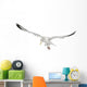 European Herring Gull Looking Down Wall Decal