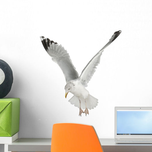 Flapping European Herring Gull Wall Decal