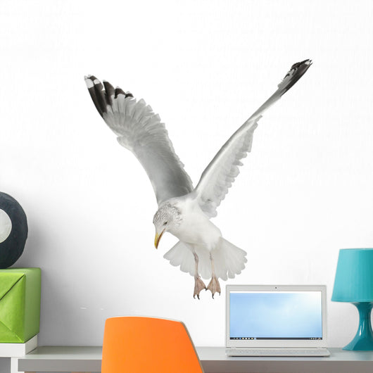 Flapping European Herring Gull Wall Decal