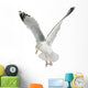Flapping European Herring Gull Wall Decal