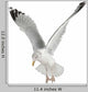 Flapping European Herring Gull Wall Decal