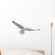 European Herring Gull Underside Wall Decal