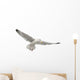 European Herring Gull Underside Wall Decal
