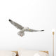 European Herring Gull Underside Wall Decal