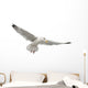 European Herring Gull Underside Wall Decal