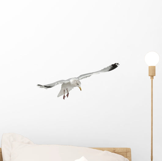 Flying European Herring Gull Wall Decal