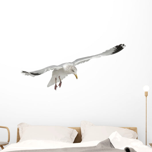 Flying European Herring Gull Wall Decal