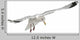 Flying European Herring Gull Wall Decal