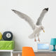 European Herring Gull Wall Decal