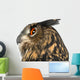 Eurasian Eagle-owl Left Side of Head Close-up Wall Decal