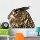 Eurasian Eagle-owl Left Side of Head Close-up Wall Decal