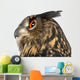 Eurasian Eagle-owl Left Side of Head Close-up Wall Decal